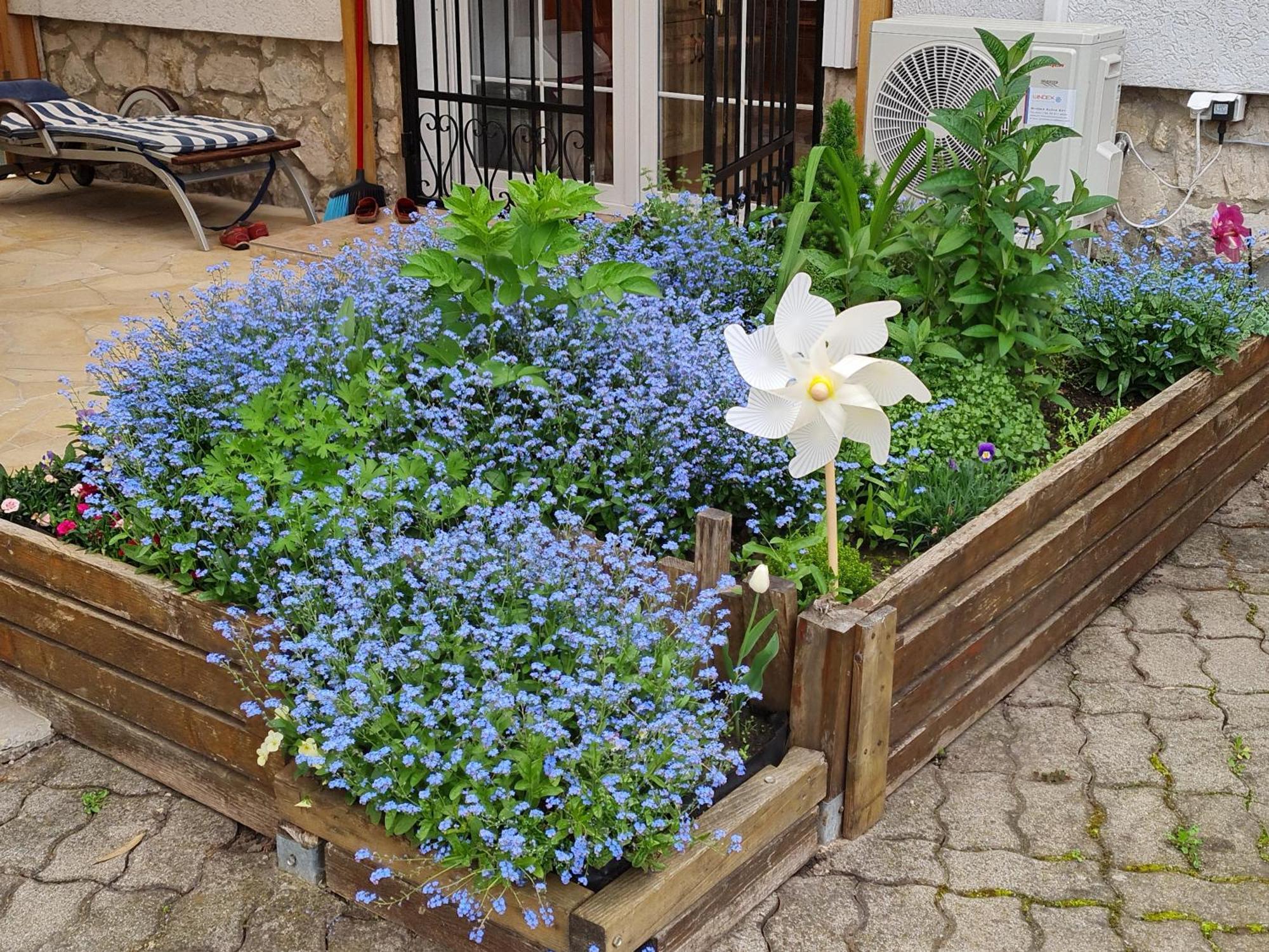 Ginger House Apartment كيستاي المظهر الخارجي الصورة